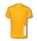 Mens Dri-Fit Logo Shirt - 12 Colors